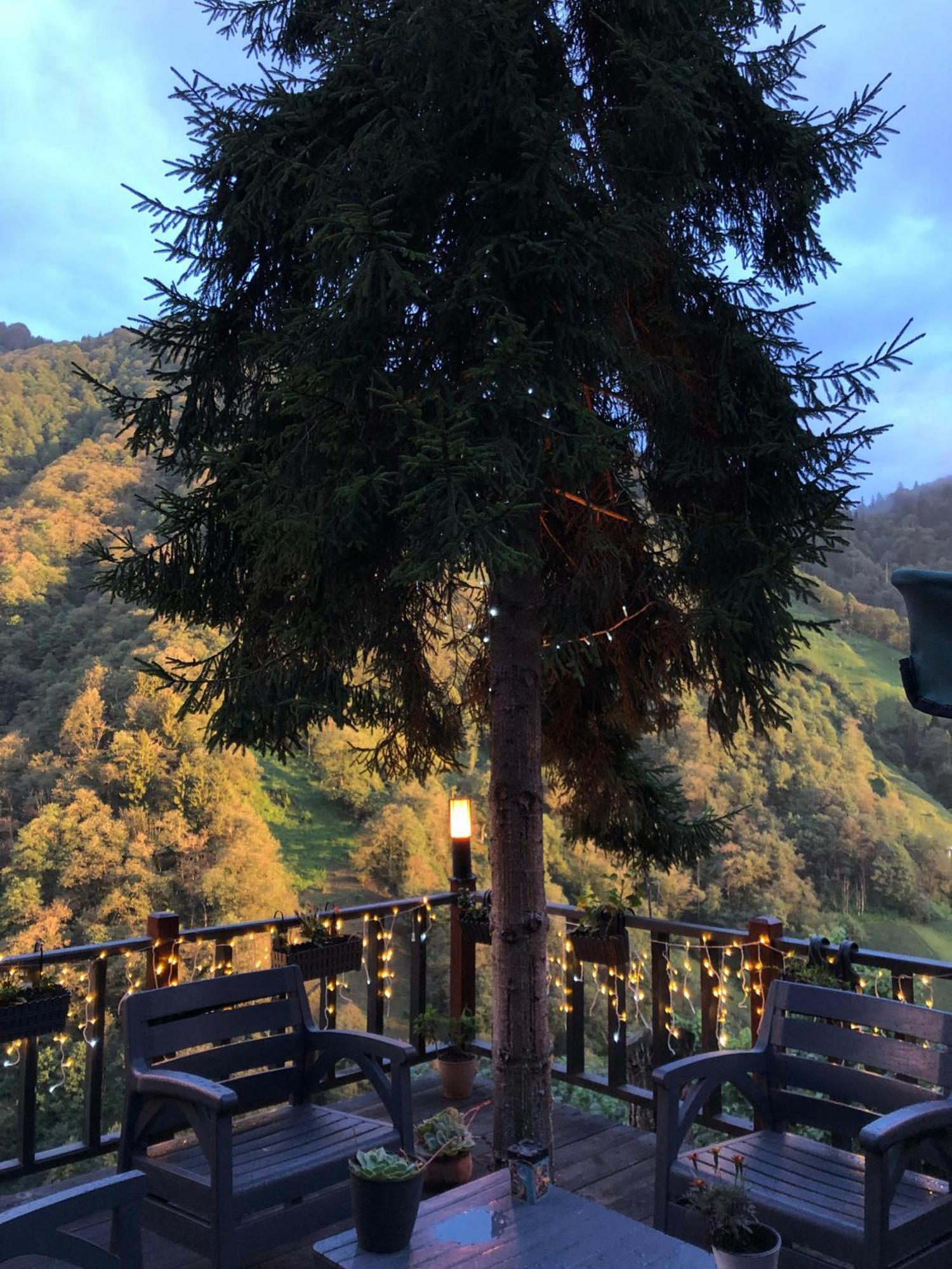 Chalet Camdibi Dagevi