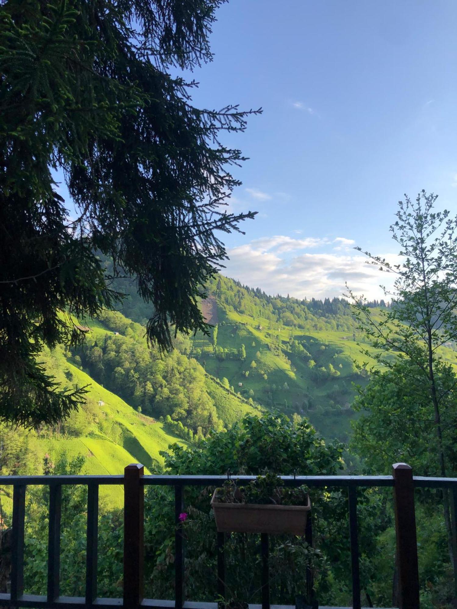 Camdibi Dagevi